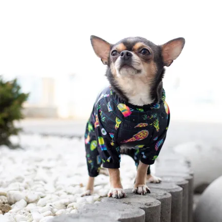 Вітровка для собак WAUDOG Clothes, малюнок "Рік та Морті 2", XS22, В 30-34 см, С 19-21 см — Фото 4