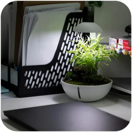 Мінітераріум Chihiros Tiny Terrarium Egg з LED-підсвіткою та керуванням через застосунок — Фото 3