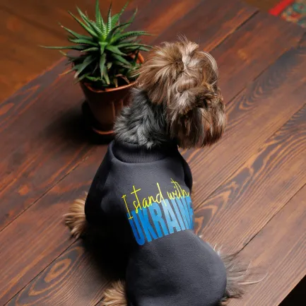 Толстовка Pet Fashion "I stand with" для собак, розмір M, сіра — Фото 2