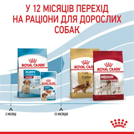 Сухий корм Royal Canin MEDIUM PUPPY для цуценят середніх порід 15 кг — Фото 6