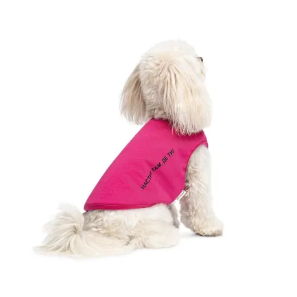 Борцівка Kale ТМ Pet Fashion для собак M малина — Фото 2