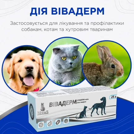 Вівадерм мазь 25 г, MODES — Фото 2