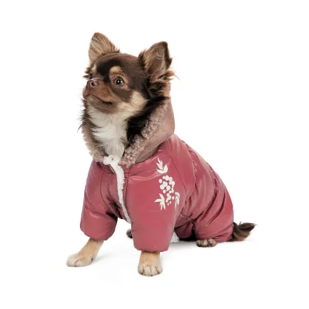 Комбінезон Pet Fashion Cherry S дівчинка для собак — Фото 1