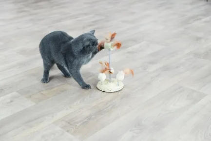 Іграшка для котів Trixie набір на пружинках люфа сизаль, 15 х 30 см — Фото 1