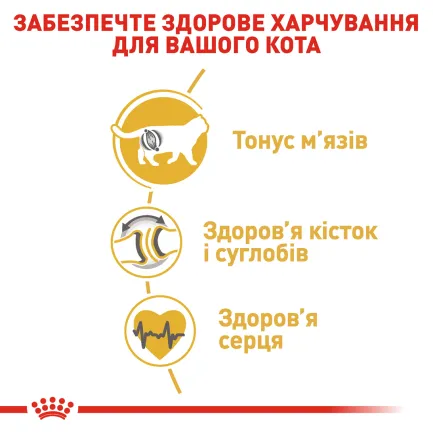Сухий корм Royal Canin BRITISH SHORTHAIR ADULT для котів породи Британська короткошерста кішка 0,4 кг — Фото 3