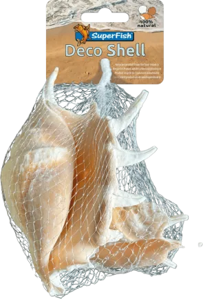 Декоративні мушлі SF DECO SHELL SPIDER 150 GRAM (A4080435)