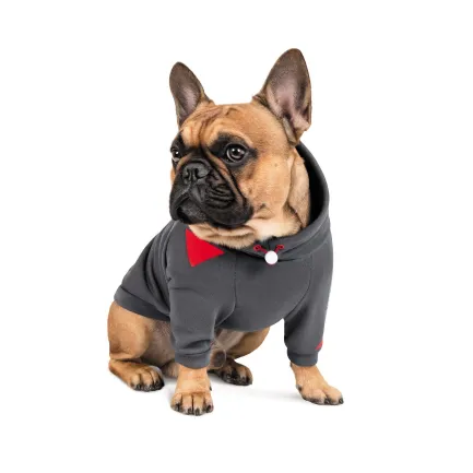 Худі Pet Fashion «Snoodie» для собак, розмір M2, сірий — Фото 2