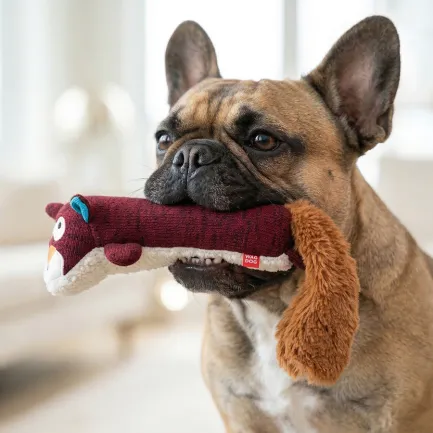Іграшка для собак WAUDOG Fun Plush Білка, трикотаж, Ш 5 см, Д 18 см, M — Фото 3