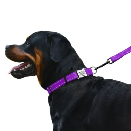 Нашийник для Собак BronzeDog Active Нейлоновий зі Світловідбиттям та Металевою Пряжкою Фіолетовий S — Фото 3