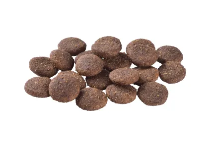 Сухий корм Brit Care Dog Hypoallergenic Adult Large Breed для собак великих порід, гіпоалергенний з ягням, 3 кг — Фото 1