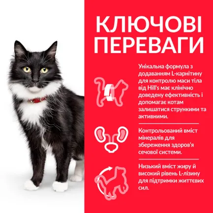 Hill's Science Plan Mature Adult 7+ Sterilised Сухий корм для зрілих котів від 7 років, з куркою, 3 кг — Фото 2