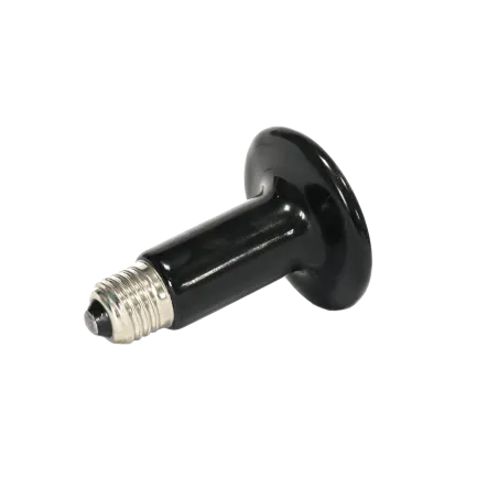 ARCADIA CERAMIC HEATER BULB 100 WATT (R2100105) лампа нагріву для рептилій — Фото 2