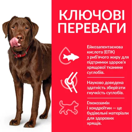 Hill’s Science Plan Adult Healthy Mobility Large Breed Сухий корм для підтримання здорової рухливості дорослих собак великих порід, з куркою, 14 кг — Фото 2