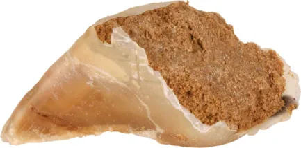 Ласощі Trixie Копитце для собак, жувальне з начинкою, 115 г, 25 шт