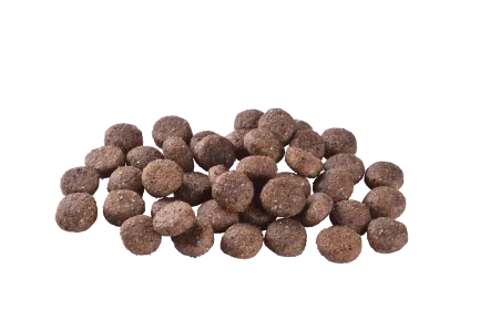Сухий корм Brit Care Dog Grain-free Adult для собак малих і середніх порід, беззерновий з лососем, 3 кг — Фото 1