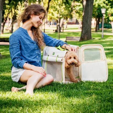 Рюкзак-переноска для котів та дрібних порід собак WAUDOG Relax Eco, 42*34*27 см, до 8 кг — Фото 6