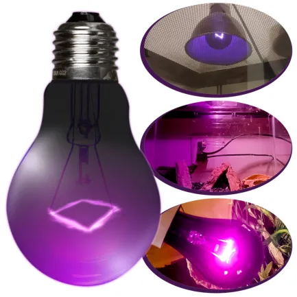 Нічна лампа з підігрівом Repti-Zoo Night Heat Bulb 75W (MHL75) — Фото 2