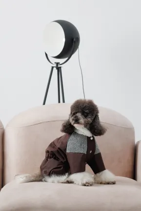 Костюм Pet Fashion Locky М2 для собак — Фото 4