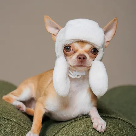 Шапка Pet Fashion Bubo для собак, розмір M, сіра — Фото 3