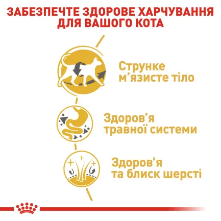 Сухий корм Royal Canin SIAMESE ADULT для сіамських котів 0,4 кг — Фото 3