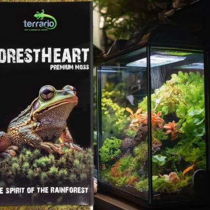 Натуральний мох торф’яний Terrario ForestHeart Sphagnum Moss 100г для тераріумів та орхідей — Фото 3