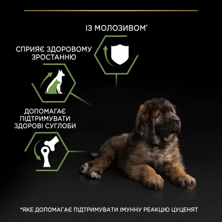 Сухий корм PRO PLAN Large Robust Puppy <2 Healthy Start для цуценят великих порід масивної статури з куркою 12 кг — Фото 6