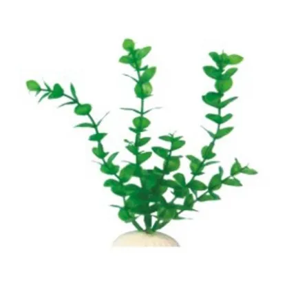 AquatiC Plants (Акватик Плентс) Акваріумна рослина 30cм, AP -021 - 12
