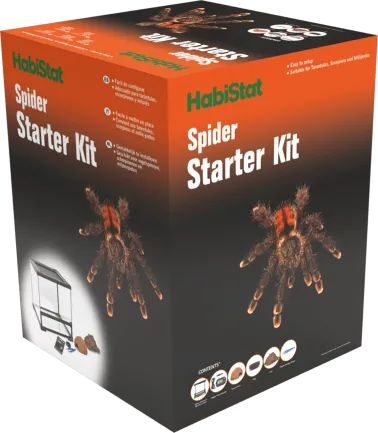 Тераріумний стартовий набір HABISTAT SPIDER STARTER KIT (R1100290) — Фото 2