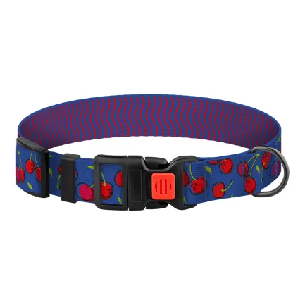 Нашийник для Собак BronzeDog Urban Fruits Нейлоновий з Пластиковою Пряжкою Вишні L — Фото 1