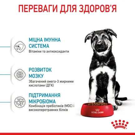 Сухий корм Royal Canin MAXI PUPPY для цуценят великих порід 4 кг — Фото 4