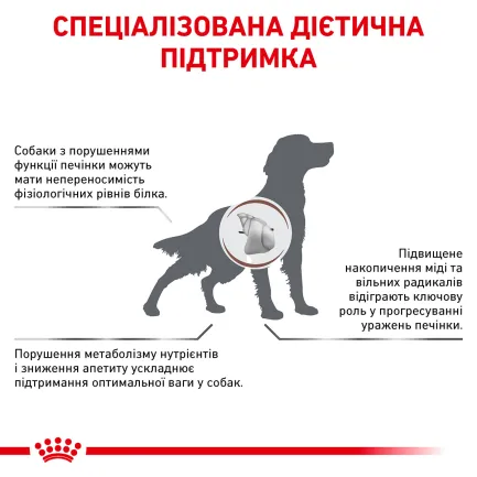 Дієтичний сухий корм Royal Canin HEPATIC DOG для собак 7 кг — Фото 2