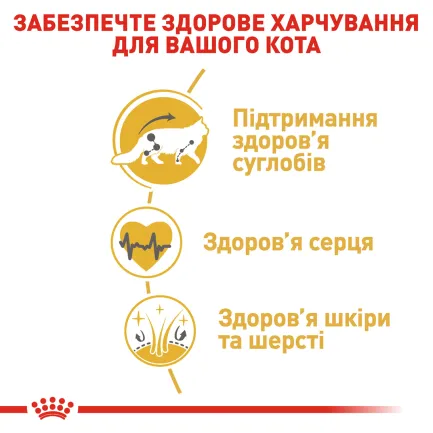 Сухий корм Royal Canin MAINECOON ADULT для котів породи Мейн-кун 10 кг — Фото 3