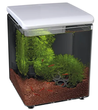 Акваріум акриловий - Superfish Home 8 WHITE (A4051250)
