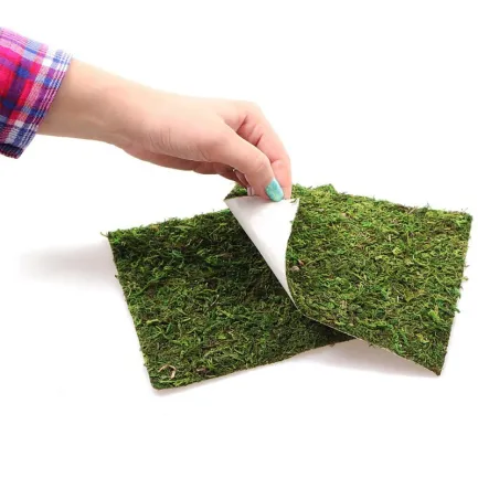 Фон моховий Repti-Zoo Natural Moss Back &amp; Bottom 20x30см 2шт. (NCM3020) — Фото 4