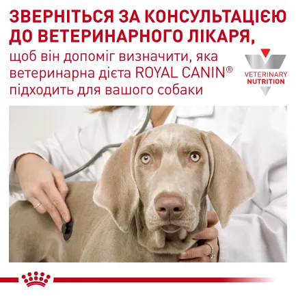 Дієтичний сухий корм Royal Canin GASTROINTESTINAL LOW FAT SMALL DOG для собак 3,5 кг — Фото 8