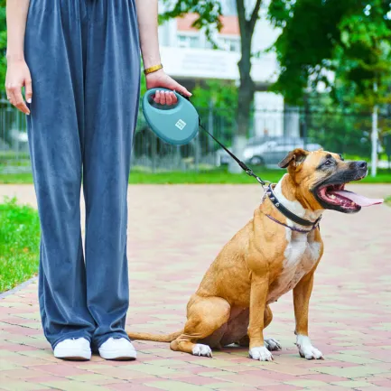 Повідець-рулетка для собак WAUDOG R-leash з контейнером для пакетів, світловідбивна стрічка, L, до 40 кг, 5 м, блакитний — Фото 1
