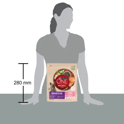 Сухий корм PURINA ONE Mini/Small Sensitive для дорослих собак дрібних порід з чутливим травленням з лососем та рисом 800 г — Фото 2
