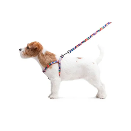Повідець для собак нейлоновий WAUDOG Nylon, малюнок "Вітраж", Ш 15 мм, Дов 122 см — Фото 3