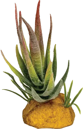 REPTO PLANT ALOE RED TIP (R5100620) Штучна рослина для тераріума