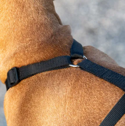 Ferplast BRAVE MEDIUM NERA PETTORINA шлея для собак чорна — Фото 5