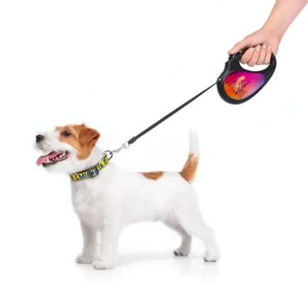 Повідець-рулетка для собак WAUDOG R-leash, малюнок "Конотопські магічні війська", M, до 25 кг, 5 м, світловідбиваюча стрічка чорний — Фото 9