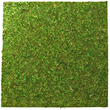 Фон моховий Repti-Zoo Natural Moss Back &amp; Bottom 20x20см 2шт. (NCM2020)