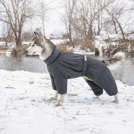 Комбінезон Pet Fashion «Cold» для такс, розмір S2, сірий — Фото 4