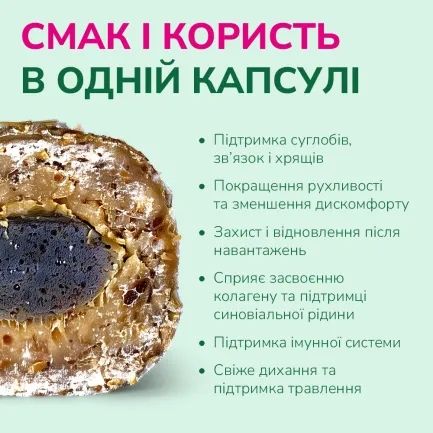 LK Baits Pet Nutrigel Beef S-M Функціональні ласощі для собак для суглобів з яловичиною і спіруліною (Ø 15 мм), 150 г — Фото 2