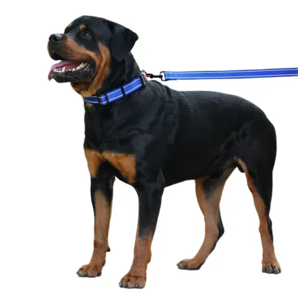 Повідець для Собак Bronzedog Active Нейлоновий зі Світловідбиттям Синій S — Фото 6