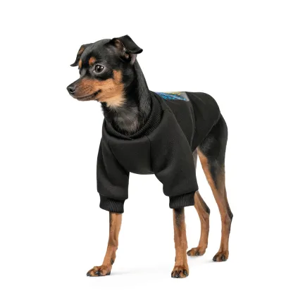 Толстовка Pet Fashion Ukraine для собак, розмір S, чорна — Фото 1
