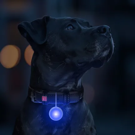 Ліхтарик для собак і котів WAUDOG LED, у силіконовому чохлі, що світиться, USB, Д 37 мм — Фото 5