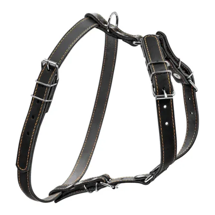 Шлея "CoLLaR" одинарна для малих та середніх собак (ширина 20мм, А:40-56см, В:57-65см) чорний