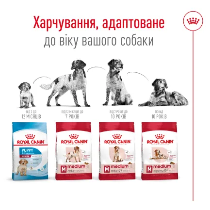 Сухий корм Royal Canin MEDIUM ADULT для дорослих собак середніх порід 4 кг — Фото 2