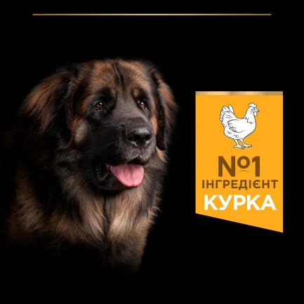Сухий корм PRO PLAN Large Robust Adult 2+ Everyday Nutrion для дорослих собак великих порід масивної статури з куркою 14 кг — Фото 6
